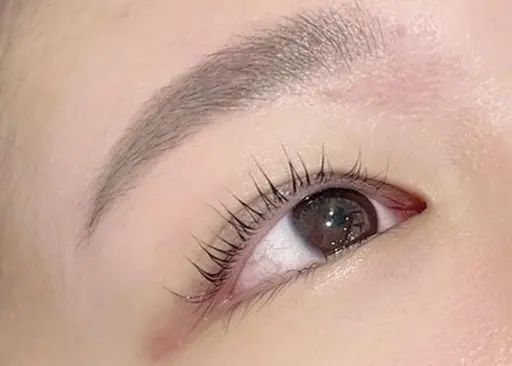 アイブロウWAX+眉カット
