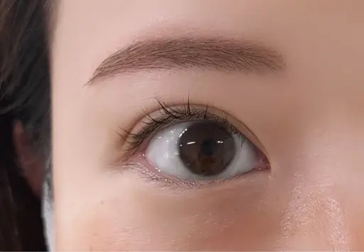 アイブロウスタイリング✨　⚠️眉毛の処理を2週間以上していない方