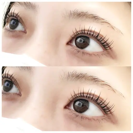 《20日限定》💐まつ毛パーマorパリジェヌ💐コーティング付き