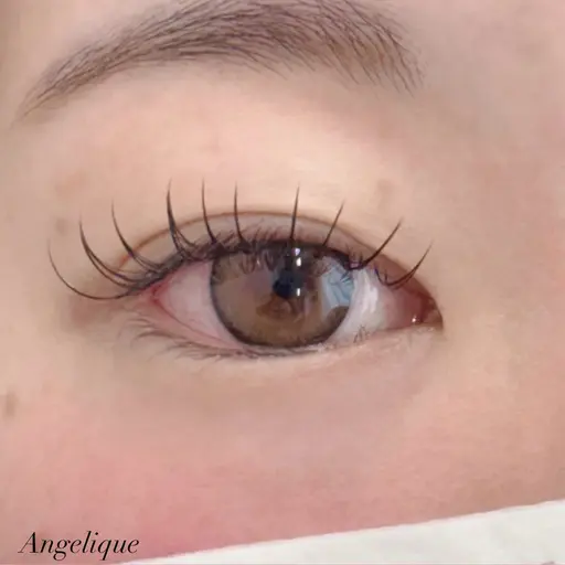 《ミニモ学割》❣️最高級セーブル120本まで✨️他店オフ無料❣️