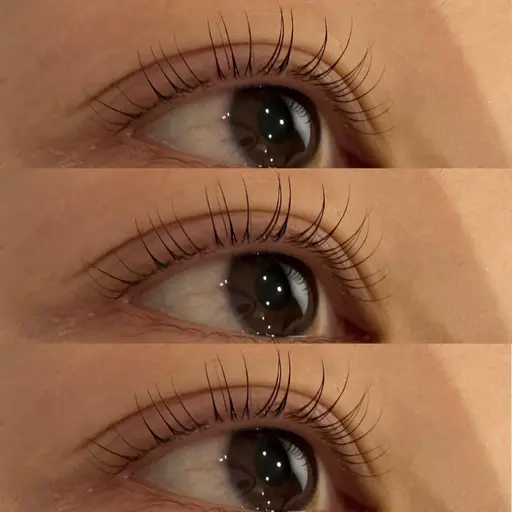 ラッシュリフト 上のみ