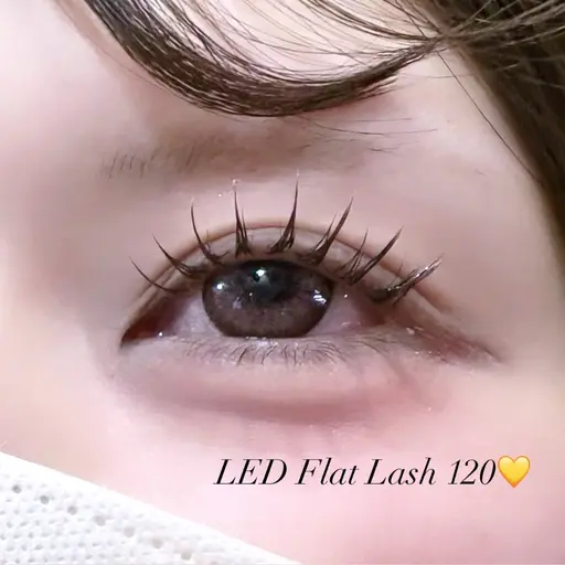 💛LEDエクステ💛技術向上モデル フラットシングル120本🎀オフなしのみ⭐️