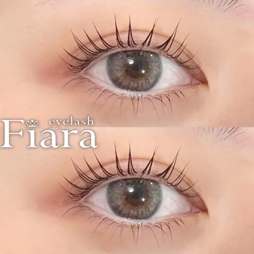 1月【限定モデル💐】上下メニュー【上メニュー選んでいただけます！下パリジェンヌ】※アイリストチェック入ります🪞