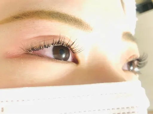 最高級セーブル120本 限定