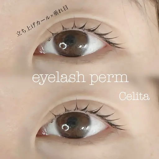 【当日のみ‼️】選べるまつ毛パーマ