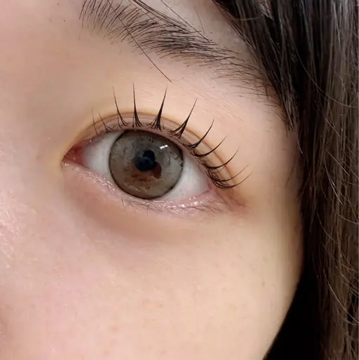 【ご新規様12月限定】‼️✨トリートメント付き✨まつ毛パーマ（上のみ）メイク時短🎀