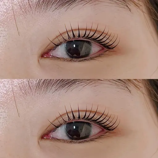 12/2413:00限定　まつげパーマ⭐️2000円モデル