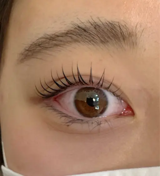 🩷上まつげデザインパーマ🩷 ⚠️補足説明を必ずお読み下さい。