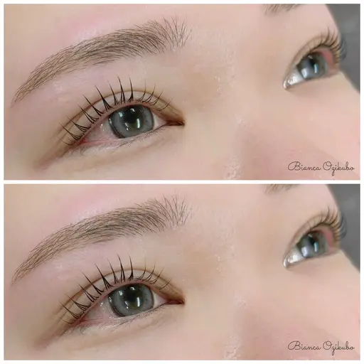 美眉✨アイブロウWAX+まつげパーマ(上)セットメニュー⛓️🦋⟡.· [荻窪/阿佐ヶ谷/高円寺]