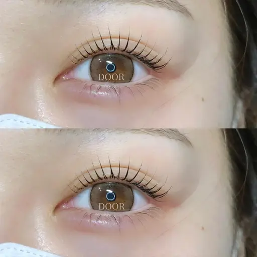 ˚*.꒰ ご新規様 ꒱.*˚🎀パリジェンヌorまつ毛パーマ🎀 束感仕上げ💖