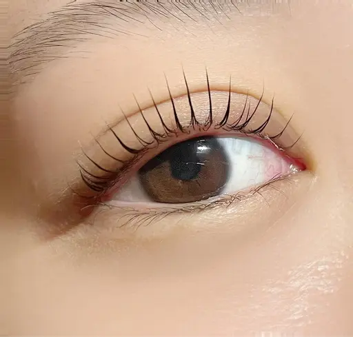 次世代まつ毛パーマパリジェンヌラッシュリフト+¥550でコーティング