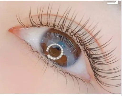 最新フラットラッシュ 80本