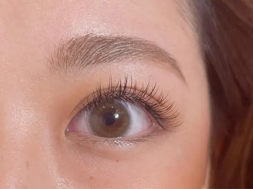 【ミニモ限定】セーブルorフラット120本🦔🤎