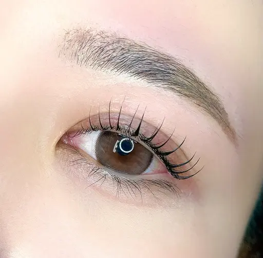 🤍まつ毛パーマ×アイブロウワックス‎🤍コーティング仕上げ＋アイシャンプー🫧(オフ+¥550)