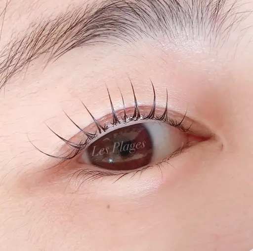 マツエク（80​〜​100本）