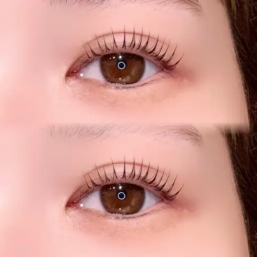 🕊️パリジェンヌラッシュリフト🎟️コーティング付⭐︎新規¥5600／再来¥6100