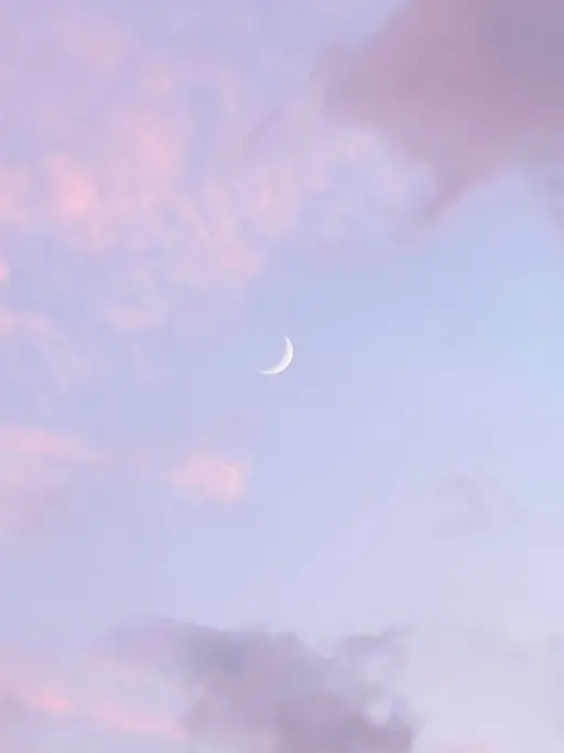 footオフなし限定お試しメニュー🗯️11色から選べる流行のくすみワンカラー🐾🤍🫧 クチコミ投稿して頂ける方♪