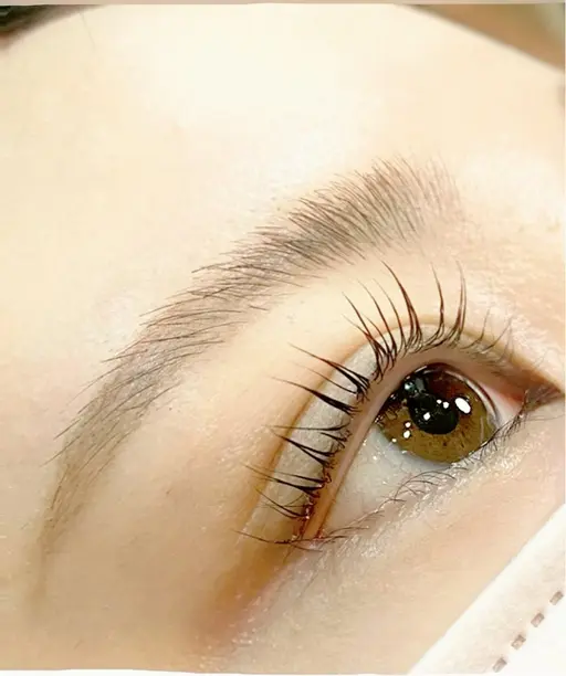 🌷平日限定🌷まつげパーマ￥3850