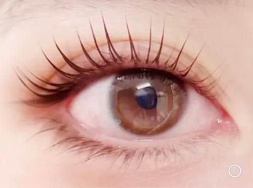 《上下セット》パリジェンヌリフトor似合わせパーマ¥6990【土日祝，12/17以降¥7990】