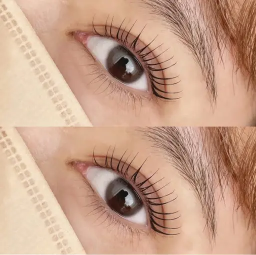 【1/16】1月中無料ラッシュリフトモデル募集!!