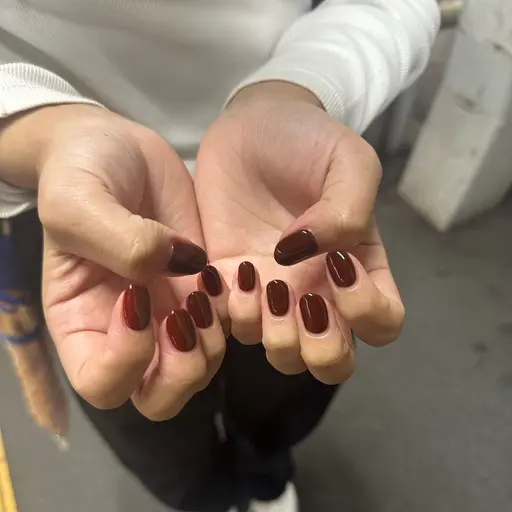 🌷ワンカラー🌷