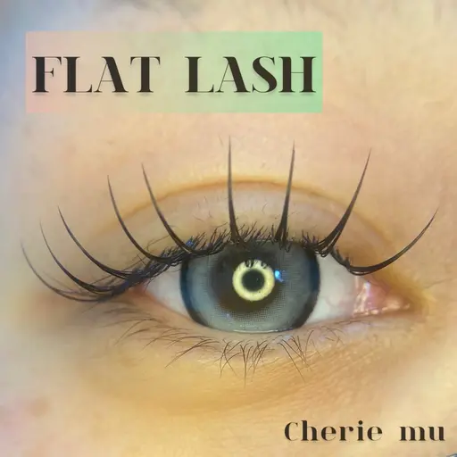 🤍当日限定！フラットラッシュ120本(オフ無料)