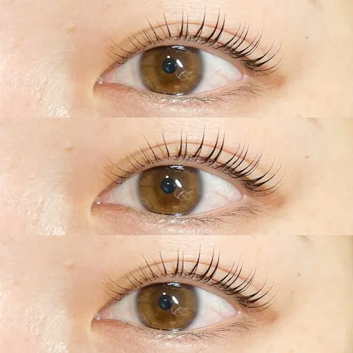 パリジェンヌラッシュリフト（まつ毛パーマ）アイシャンプー、コーディング剤付き🫧