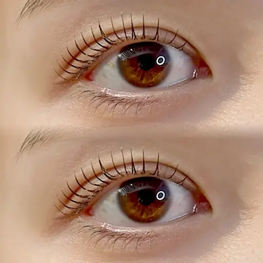 ラッシュリフト上下セット