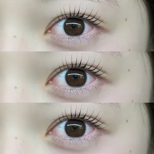 【今月限定‼️】似合わせまつ毛パーマ🎶パリジェンヌorラッシュリフト🪄💞トリートメント付🫧（施術時間60分）