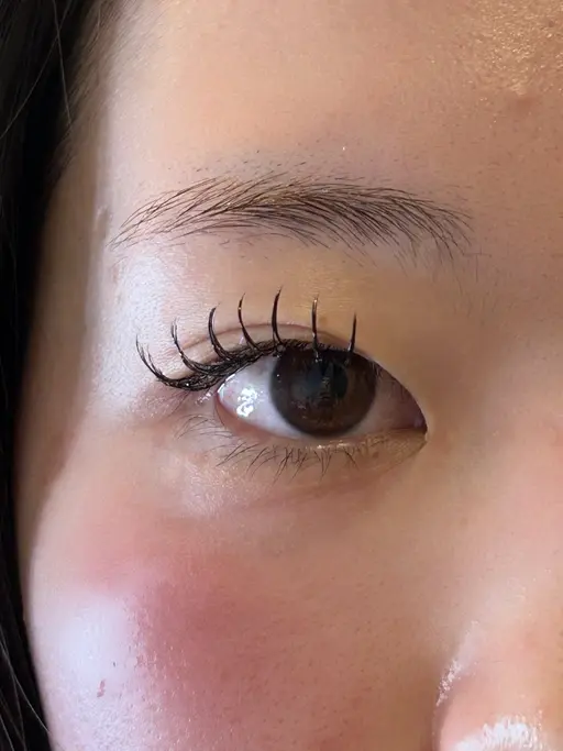 1/15当日限定マツエク装着モデル様募集！✨