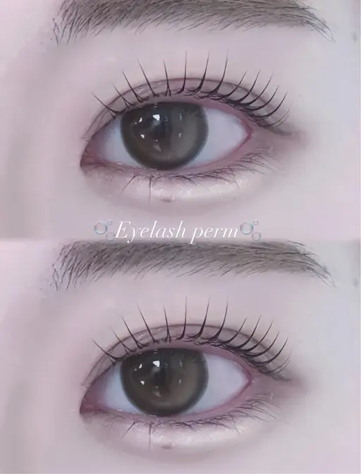 💫当日限定　🩷先着2名様🩷デザイン選べるまつ毛パーマ🫧美容液コーティング付