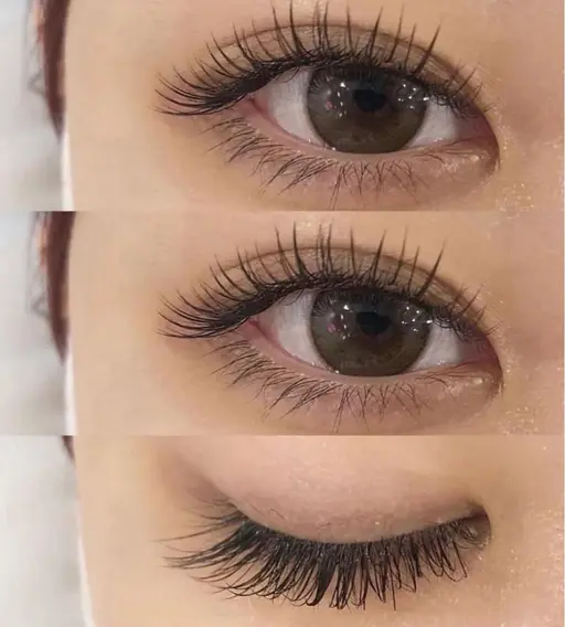 🎀平日限定！バインドロック80束