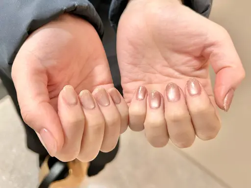 [3/31日限定]マグネットワンカラー【オフ込み】