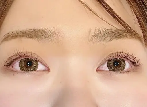 『特別特価⛄️12月限定クーポン』潤いまつげパーマ🌲6600円→2700円😊