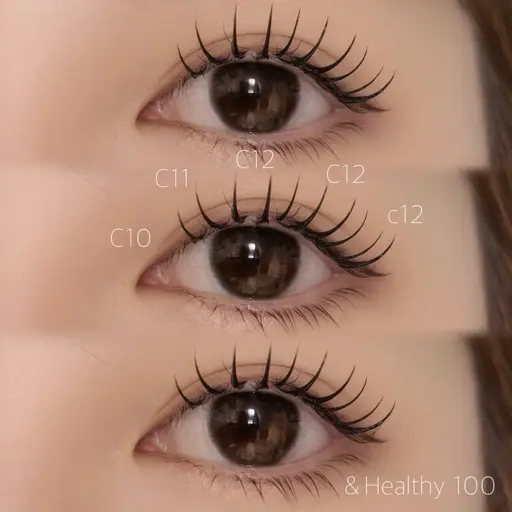 フラットラッシュ100本+アンドヘルシー(オフ無料)