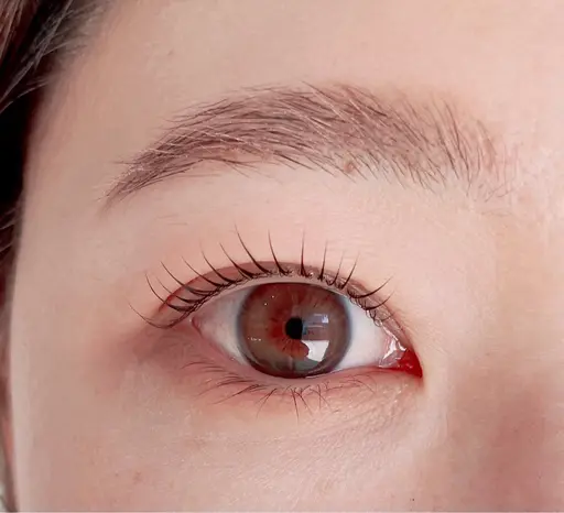 ラッシュリフト（高濃度トリートメント付き）