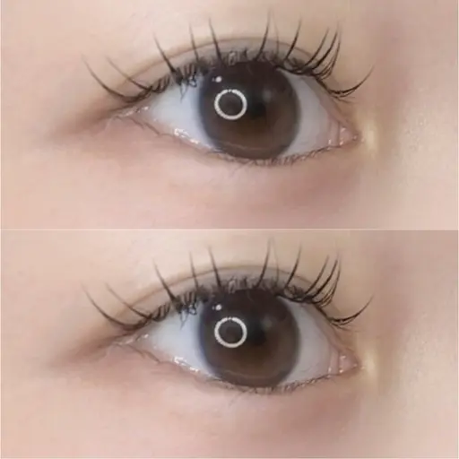 マツエク〈flat lush〉✨️パッチリまつ毛 100本(オフ込み)