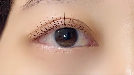 『目元パッチリ👀』 まつ毛パーマ or パリジェンヌラッシュリフトor韓国風ラッシュリフト(トリートメント付き♡)