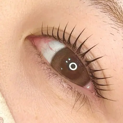 ＼OPEN記念3月末まで！／ご新規様限定✨韓国🇰🇷banhadaが本気でおすすめする🩷うるっと【上】まつ毛パーマ！