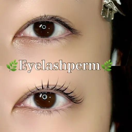 🫧🎀 ᩚ《プレミアム》潤いまつ毛パーマ🎀 ᩚ🫧