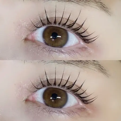 パリジェンヌラッシュリフト🩷 トリートメント付✨ご新規様4500円/再来様5500円