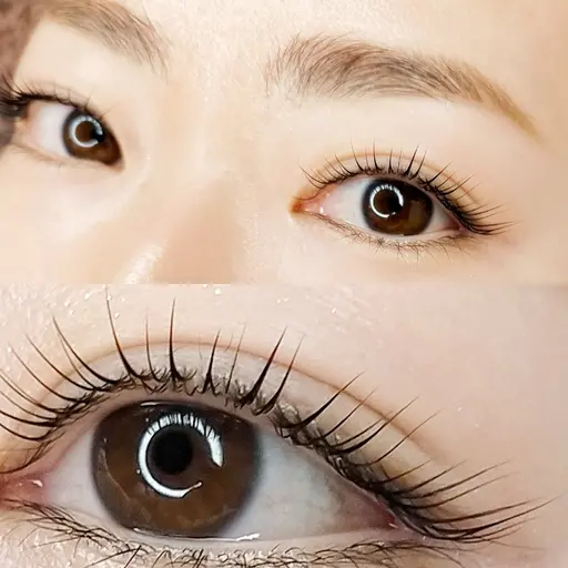 🈹✨上まつ毛パーマ×メイク込アイブロウワックス✨