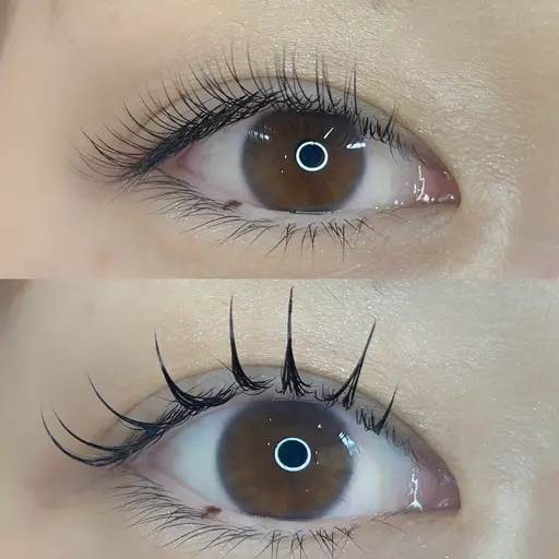 ☆シマーラッシュ☆｟エクパ、パリエク、アンドヘルシー｠詳細は最後までお読み頂きますようお願い致します