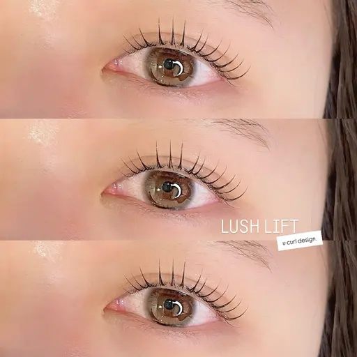 【パリジェンヌorまつ毛パーマ＋美眉WAX脱毛（間引き無・カットのみ、メイク無）