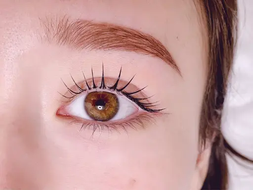 🎀\1/15限定/まつ毛パーマ 束間仕上げ🎀