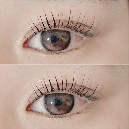 🧡🦁当日限定 選べるパリジェンヌラッシュリフトorまつげパーマ トリートメント付き🦁🧡¥3850