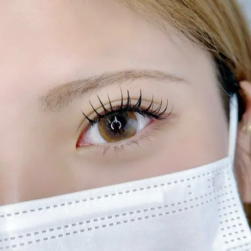 【2/11​〜​2/20まで】LEDマツエク120本無料モニター募集！フラットラッシュ/長さデザイン自由