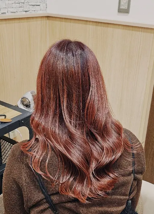 春休み限定メニュー🌸【3月19日各1名様🙇🏻♀️´】カット+ワンカラー+トリートメント