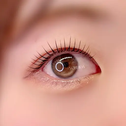 minimo限定🉐🌈【マスカラパーマ🇰🇷🫧】アイシャンプー＋仕上げコーティング付💫