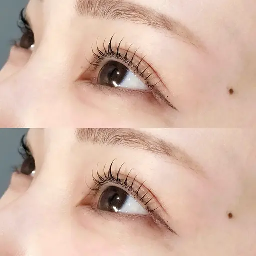 【当日限定】まつ毛パーマ/パリジェンヌ(アイシャンプー＆束感コーティング付き♪)